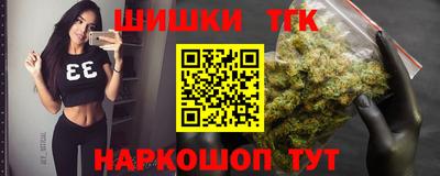 МДПВ Камышлов
