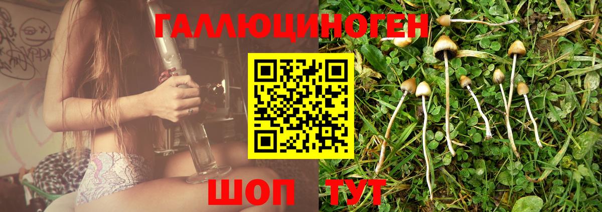 Корсаков  Псилоцибиновые грибы мицелий  Вход с VPN  Галлюциногенные грибы Magic Shrooms 
